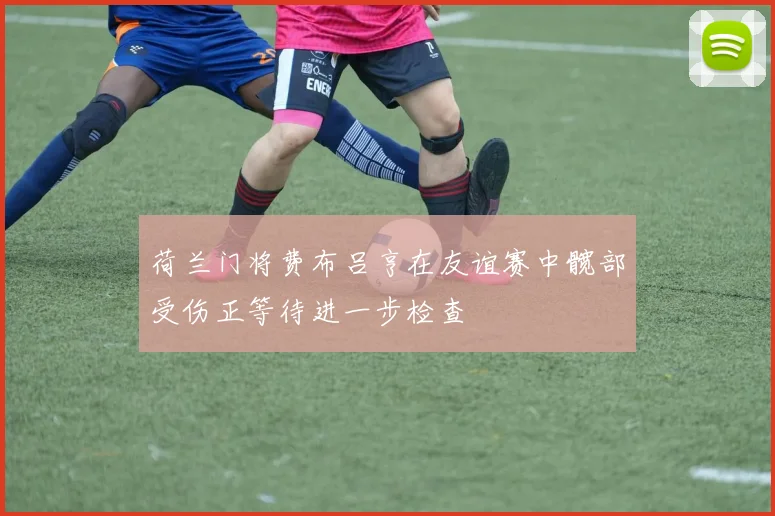 荷兰门将费布吕亨在友谊赛中髋部受伤正等待进一步检查