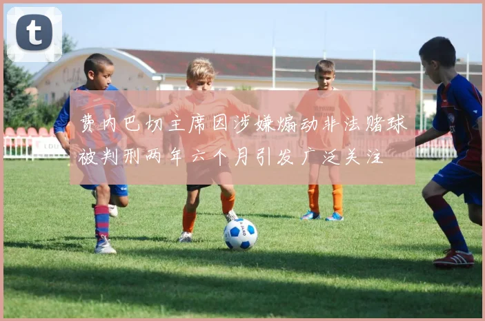 费内巴切主席因涉嫌煽动非法赌球被判刑两年六个月引发广泛关注