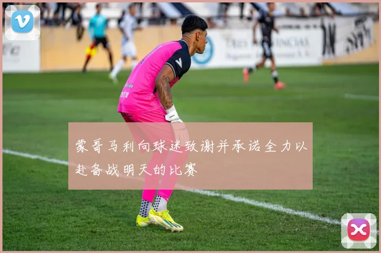 蒙哥马利向球迷致谢并承诺全力以赴备战明天的比赛